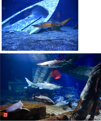 Example Habitat Zones 2
